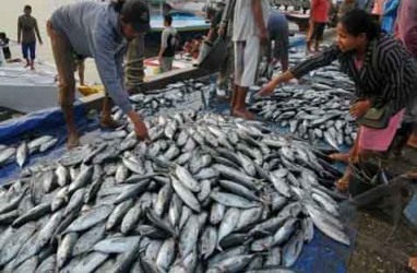 SERTIFIKASI FAIR TRADE: KKP Jamin Produksi Tuna Berkelanjutan